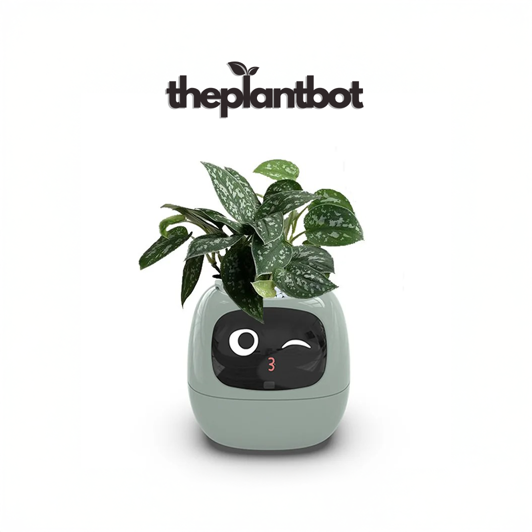 PlantBot V0.1