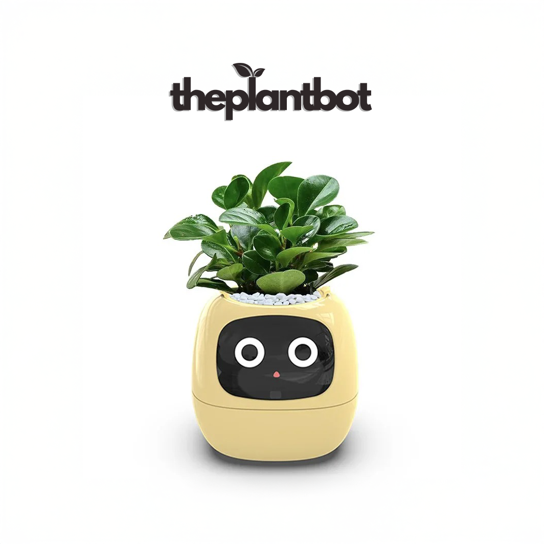 PlantBot V0.1