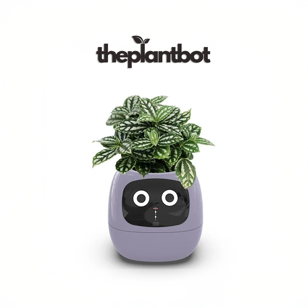 PlantBot V0.1