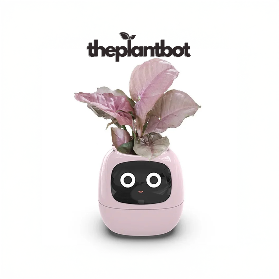 PlantBot V0.1